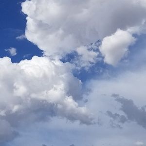 Meet your Posher, Talia